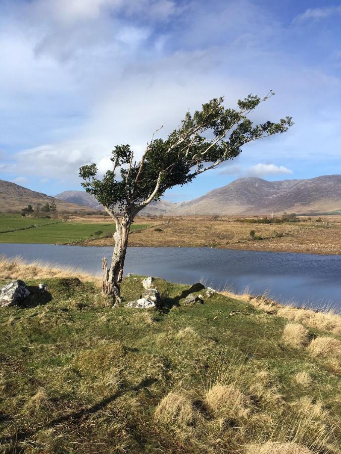Railway View - Connemara Bed and Breakfast Recess Exteriör bild